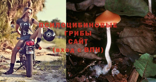 гидропоника Армянск