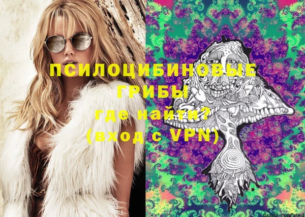 шишки Алексин