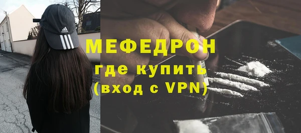 индика Каменка