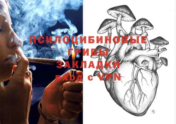 Альфа ПВП Аркадак