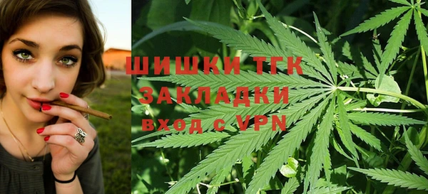 шишки Алексин