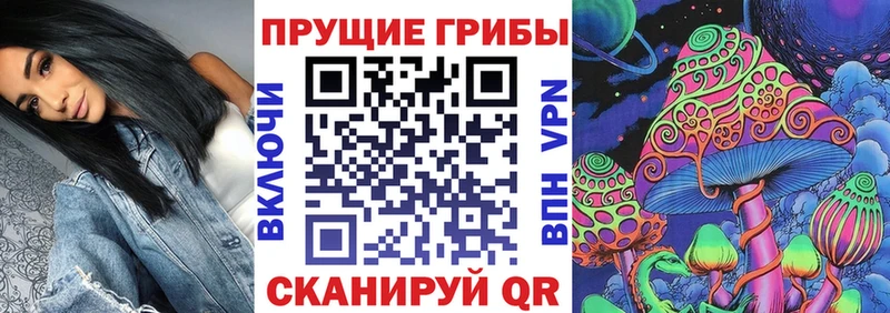 ссылка на мегу как зайти  Лахденпохья  Псилоцибиновые грибы мухоморы 